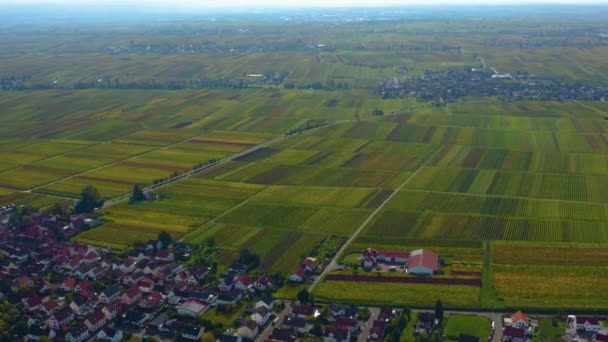 Luchtfoto Rond Wijngaarden Rijnland Palts Duitsland Herfst — Stockvideo