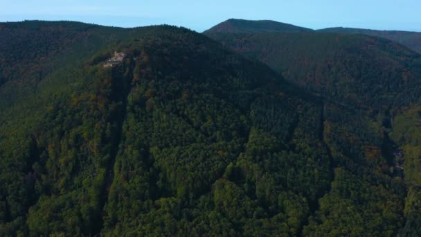 Vista Aérea Alrededor Viñedos Renania Palatinado Alemania Otoño — Vídeos de Stock