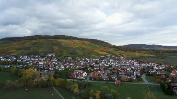 Vista Aérea Viñedos Casas Alrededor Del Pueblo Horrheim Alemania Día — Vídeos de Stock