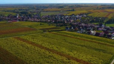 Sonbaharda Almanya 'da Rhineland-Palatinate üzüm bağları etrafındaki hava manzarası.