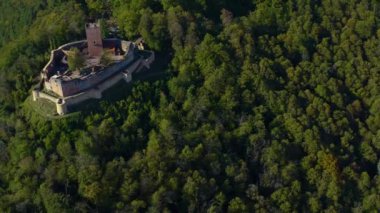 Üzüm bağları ve sonbaharda Almanya 'da Rhineland-Palatinate' de bir şato çevresindeki hava manzarası.