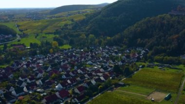Üzüm bağları ve sonbaharda Almanya 'da Rhineland-Palatinate' de bir şato çevresindeki hava manzarası.
