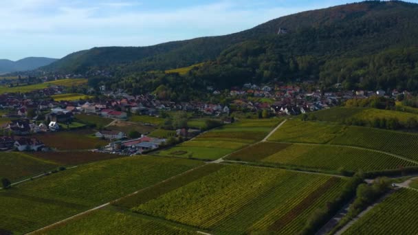 Aerial View Vineyards Houses Village Burrweiler Frankweiler Pfalz Germany Sunny — Stock Video