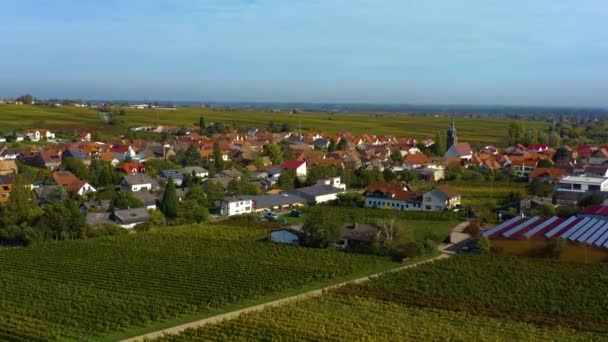Vista Aérea Viñedos Casas Alrededor Del Pueblo Burrweiler Frankweiler Pfalz — Vídeos de Stock