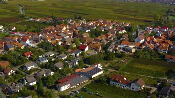 Veduta Aerea Vigneti Case Intorno Villaggio Burrweiler Frankweiler Nel Pfalz — Video Stock