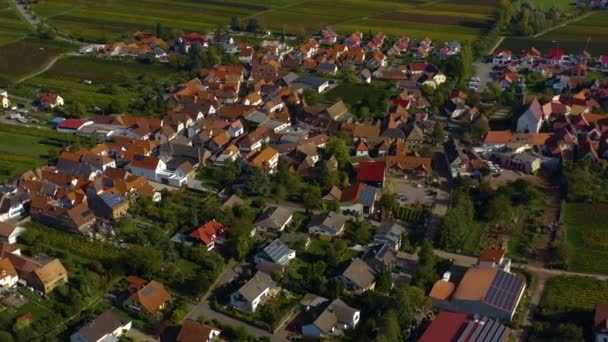 Flygfoto Över Vingårdar Hus Runt Byn Burrweiler Och Frankweiler Pfalz — Stockvideo