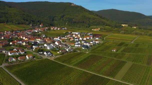 Повітряний Вид Виноградники Будинки Навколо Села Burrweiler Frankweiler Пфальці Німеччині — стокове відео