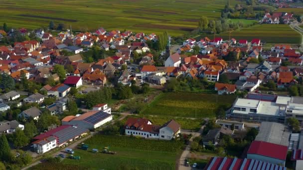 Flygfoto Över Vingårdar Hus Runt Byn Burrweiler Och Frankweiler Pfalz — Stockvideo