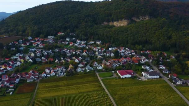 Luftaufnahme Von Weinbergen Häusern Rund Das Dorf Burrweiler Und Frankweiler — Stockvideo