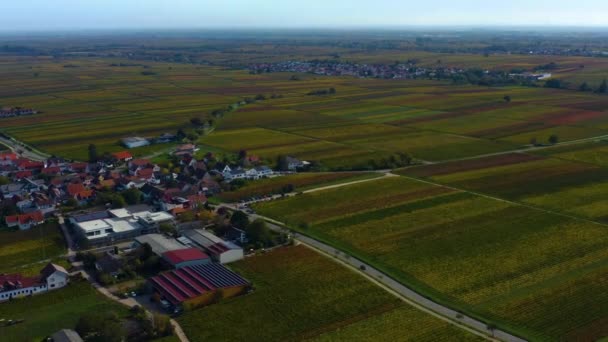 Luchtfoto Van Wijngaarden Huizen Rond Het Dorp Burrweiler Frankweiler Pfalz — Stockvideo