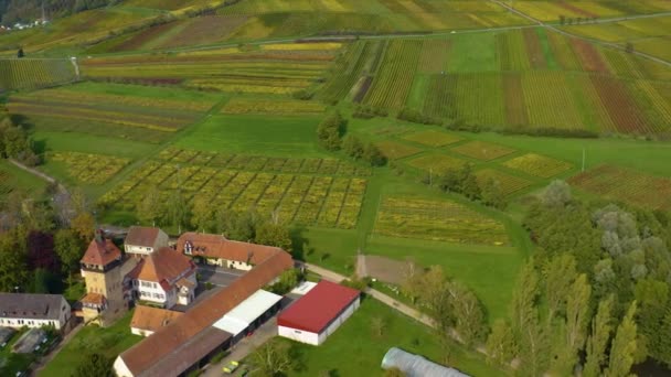 俯瞰德国法尔茨市Burrweiler村和Frankweiler村周围的葡萄园 秋天的一个阳光灿烂的日子 — 图库视频影像