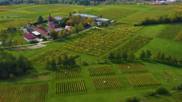 Letecký Pohled Vinice Domy Kolem Obce Burrweiler Frankweiler Falci Německu — Stock video