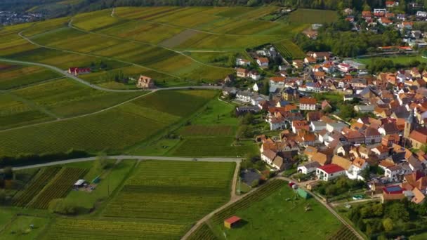 Flygfoto Över Vingårdar Hus Runt Byn Burrweiler Och Frankweiler Pfalz — Stockvideo