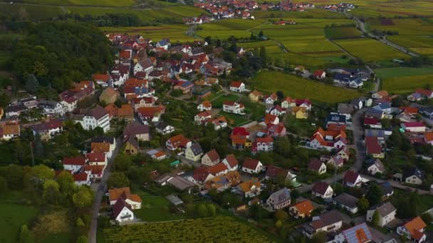 Flygfoto Över Vingårdar Hus Runt Byn Burrweiler Och Frankweiler Pfalz — Stockvideo