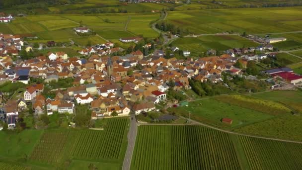 Повітряний Вид Виноградники Будинки Навколо Села Burrweiler Frankweiler Пфальці Німеччині — стокове відео