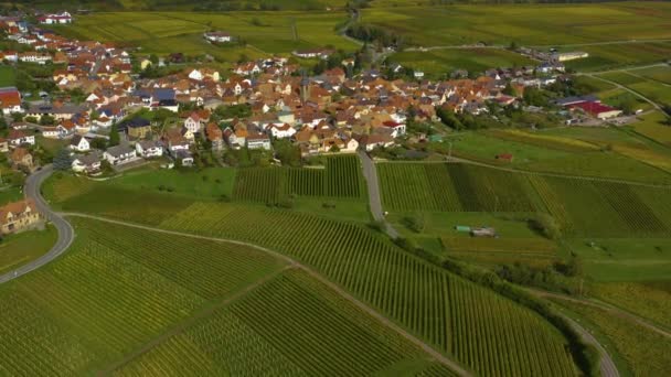 Luchtfoto Van Wijngaarden Huizen Rond Het Dorp Burrweiler Frankweiler Pfalz — Stockvideo