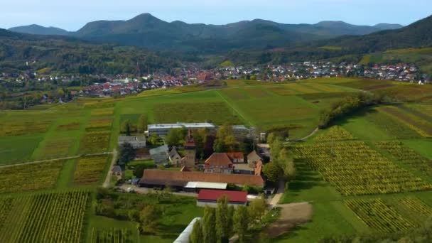 Vista Aérea Viñedos Casas Alrededor Del Pueblo Burrweiler Frankweiler Pfalz — Vídeos de Stock