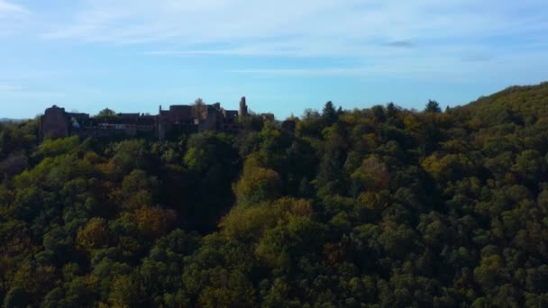 Вид Воздуха Виноградники Замок Райнланд Пфальц Германии Осенью — стоковое видео