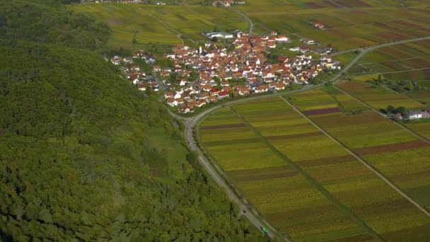 Flygfoto Runt Vingårdar Och Ett Slott Rheinland Pfalz Tyskland Hösten — Stockvideo