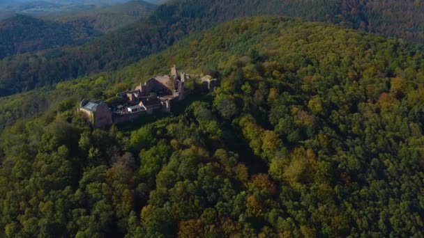 Vista Aérea Alrededor Viñedos Castillo Renania Palatinado Alemania Otoño — Vídeos de Stock