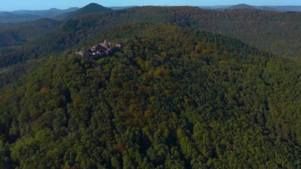 Luftaufnahme Rund Weinberge Und Ein Schloss Rheinland Pfalz Herbst — Stockvideo