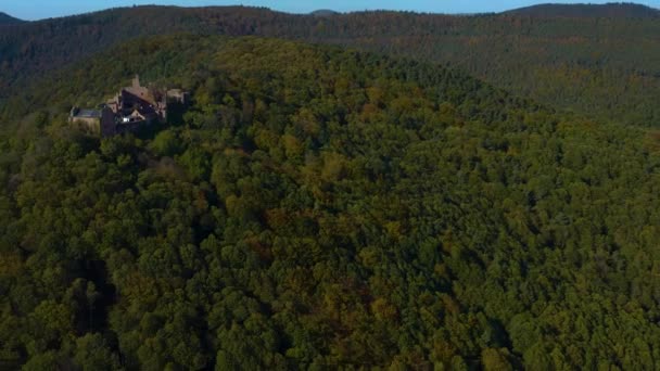 Flygfoto Runt Vingårdar Och Ett Slott Rheinland Pfalz Tyskland Hösten — Stockvideo