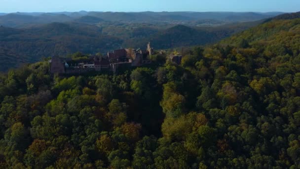 Aerial View Vineyards Castle Rhineland Palatinate Germany Autumn — Stock Video