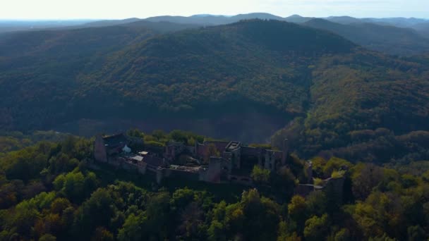 Flygfoto Runt Vingårdar Och Ett Slott Rheinland Pfalz Tyskland Hösten — Stockvideo