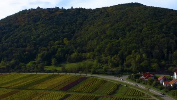 Luchtfoto Rond Wijngaarden Rijnland Palts Duitsland Herfst — Stockvideo