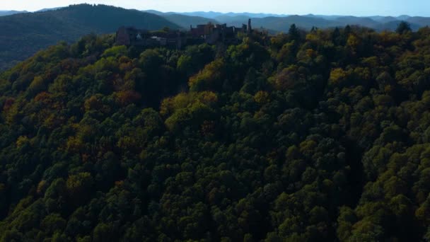 Vista Aérea Alrededor Viñedos Castillo Renania Palatinado Alemania Otoño — Vídeos de Stock
