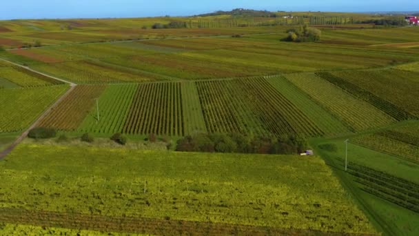 Luchtfoto Rond Wijngaarden Rijnland Palts Duitsland Herfst — Stockvideo