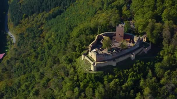 Flygfoto Runt Vingårdar Och Ett Slott Rheinland Pfalz Tyskland Hösten — Stockvideo