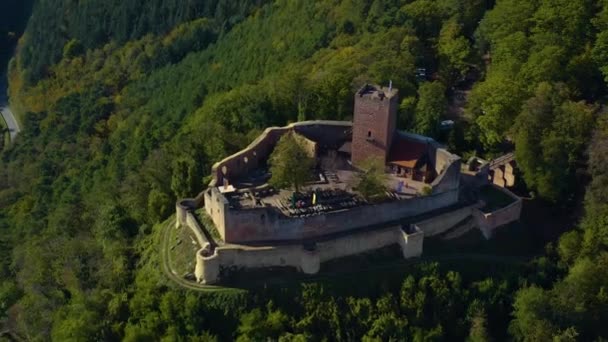 Flygfoto Runt Vingårdar Och Ett Slott Rheinland Pfalz Tyskland Hösten — Stockvideo