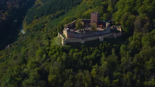 Aerial View Vineyards Castle Rhineland Palatinate Germany Autumn — Stock Video