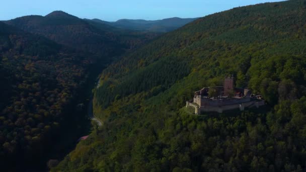 秋にはドイツのラインラント プファルツ州のブドウ畑と城の周りの空中風景 — ストック動画