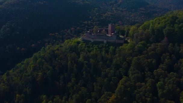 秋にはドイツのラインラント プファルツ州のブドウ畑と城の周りの空中風景 — ストック動画