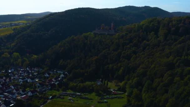 Luftaufnahme Rund Die Weinberge Rheinland Pfalz Herbst — Stockvideo