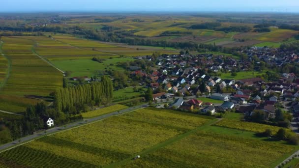 Flygfoto Runt Vingårdar Rheinland Pfalz Tyskland Hösten — Stockvideo