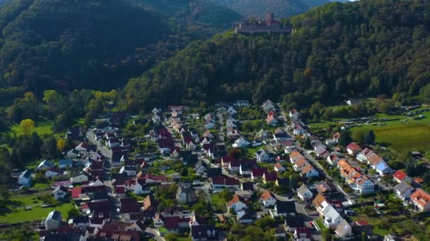 Widok Lotu Ptaka Wokół Winnic Zamku Nadrenii Palatynacie Jesienią Niemczech — Wideo stockowe