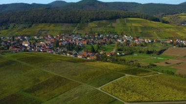 Sonbaharda Almanya 'da Rhineland-Palatinate üzüm bağları etrafındaki hava manzarası.