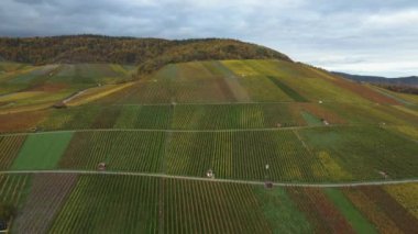 Üzüm bağlarının havadan görünüşü, Almanya 'da Horrheim köyünün etrafındaki evler. Sonbaharda bulutlu bir günde, sonbahar.