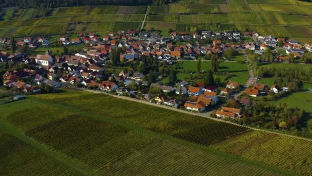 Vista Aérea Viñedos Casas Alrededor Del Pueblo Burrweiler Frankweiler Pfalz — Vídeos de Stock