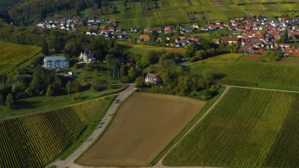 Flygfoto Runt Vingårdar Rheinland Pfalz Tyskland Hösten — Stockvideo
