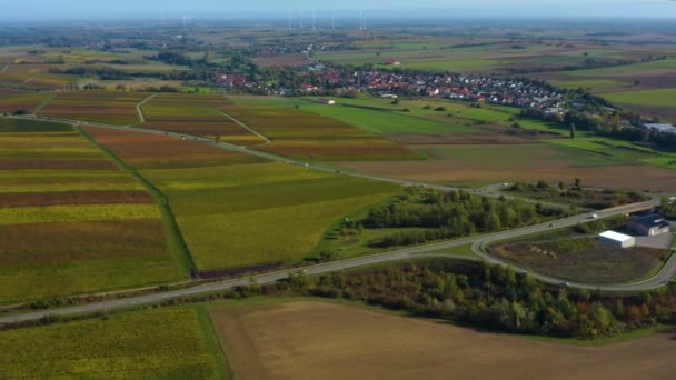 Vista Aérea Alrededor Viñedos Renania Palatinado Alemania Otoño — Vídeo de stock