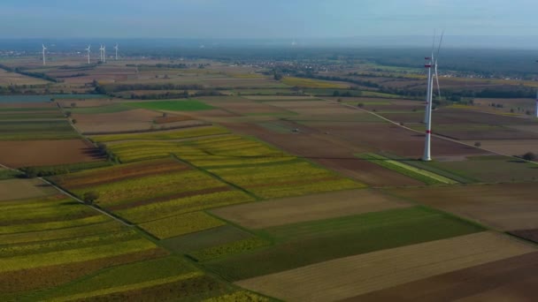 Luchtfoto Van Windturbines Duitsland Dichtbij Landau Duitsland — Stockvideo