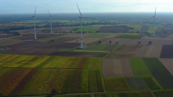 Widok Lotu Ptaka Turbiny Wiatrowe Niemczech Niedaleko Landau Niemczech — Wideo stockowe