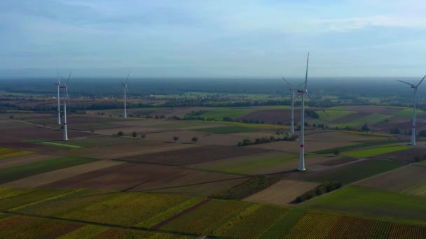 Vista Aérea Aerogeneradores Alemania Cerca Landau Alemania — Vídeos de Stock