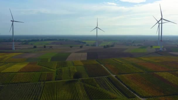 Veduta Aerea Delle Turbine Eoliche Germania Vicino Landau Germania — Video Stock