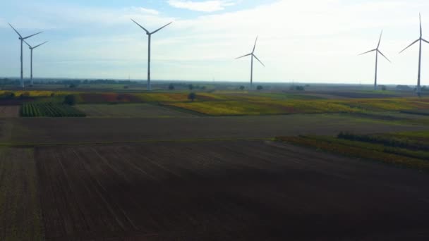 Вид Воздуха Ветряных Турбин Германии Рядом Ландау Германии — стоковое видео