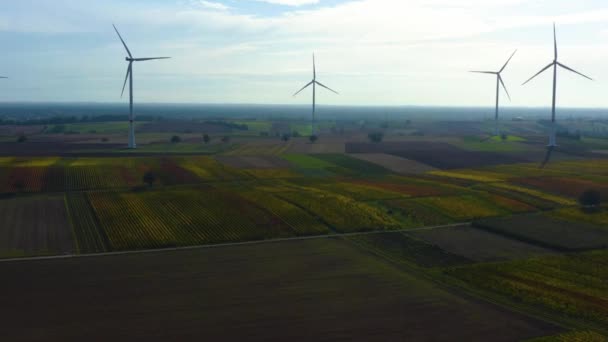 Flygfoto Över Vindkraftverk Tyskland Nära Landau Tyskland — Stockvideo